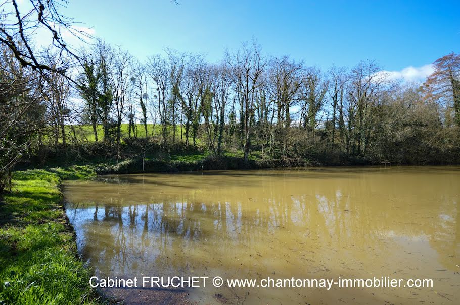 Vente terrain  9141 m² à Chantonnay (85110), 28 000 €