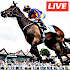 Watch Horse Racing Live Stream FREE1.0