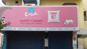 Ch. Mother Dairy photo 