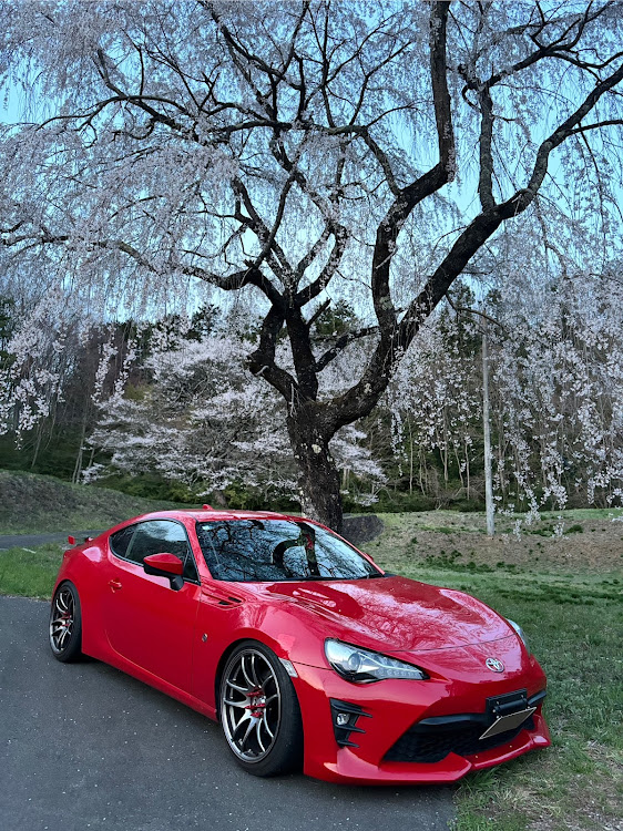 86の86・zn6・トヨタ・桜が散る前に・これがホントの穴場に関するカスタム事例の投稿画像2枚目