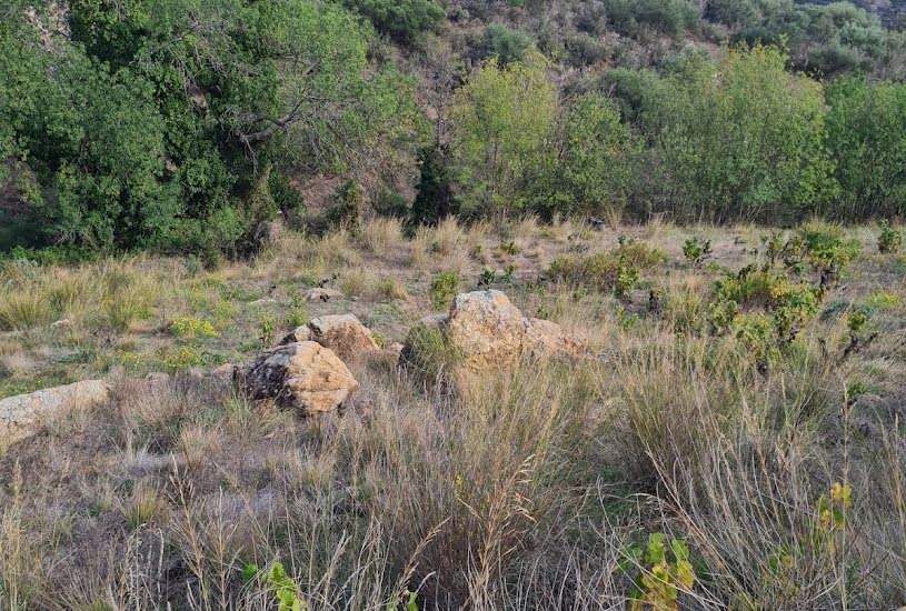  Vente Terrain agricole - 10 225m² à Banyuls-sur-Mer (66650) 