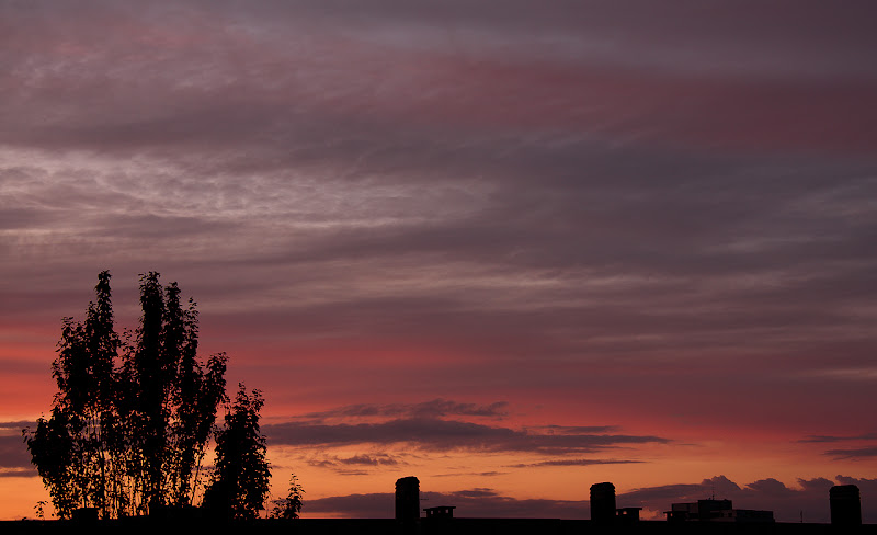 Purple Sky di Francesca Malavasi