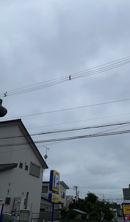 CX-8の洗車・ピカピカ✨・大雨で被災された皆様へお見舞い申し上げます・8月もよろしくお願いしますに関するカスタム事例の投稿画像3枚目