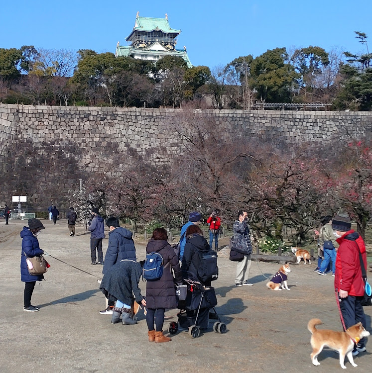 の投稿画像2枚目