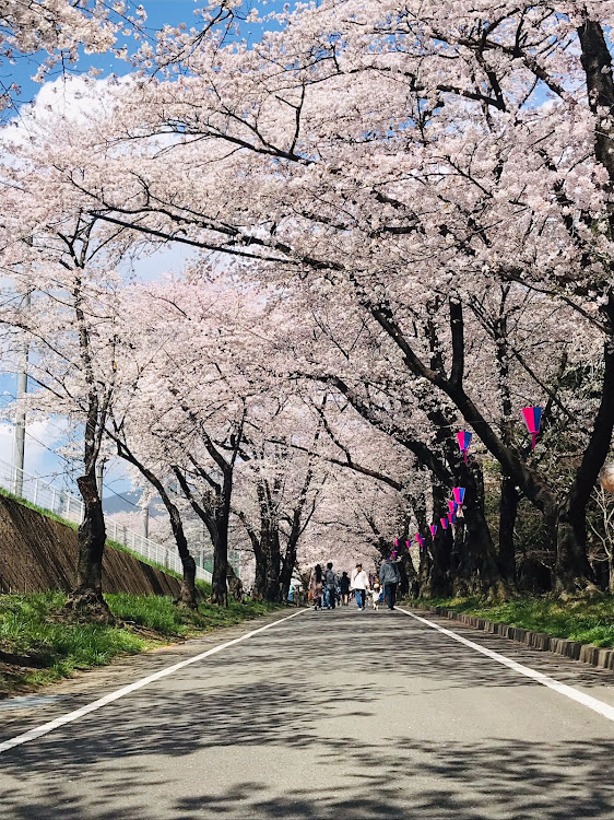 の投稿画像2枚目