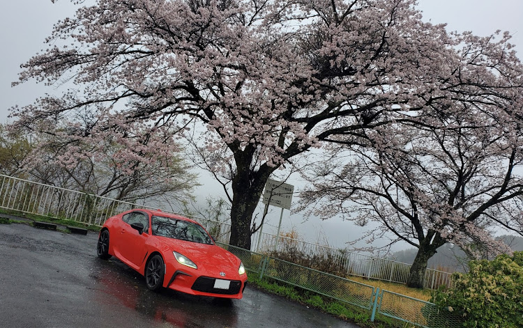 GR86の朝のお散歩・サクラと愛車・宮ヶ瀬に関するカスタム事例の投稿画像2枚目