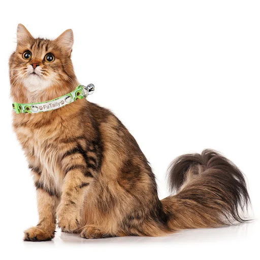 Fruit Cat Collar Personalized Nylon Custom Name Small Dog Safety Breakaway Puppy Pet Accessories Kitten Collars Necklace