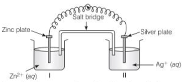 Cell Potential