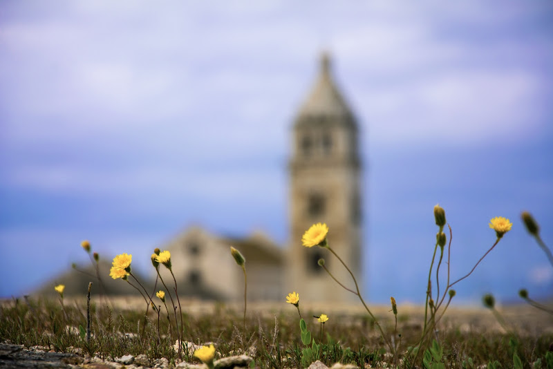 La Cattedrale di Gianfvis