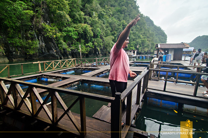 Langkawi Geoforest Fish Farm