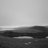 Foggy Countryside di 