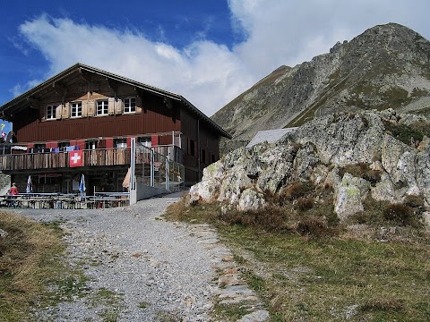 Viaje por los Alpes - Blogs de Suiza - La ruta de los tres puertos (13)