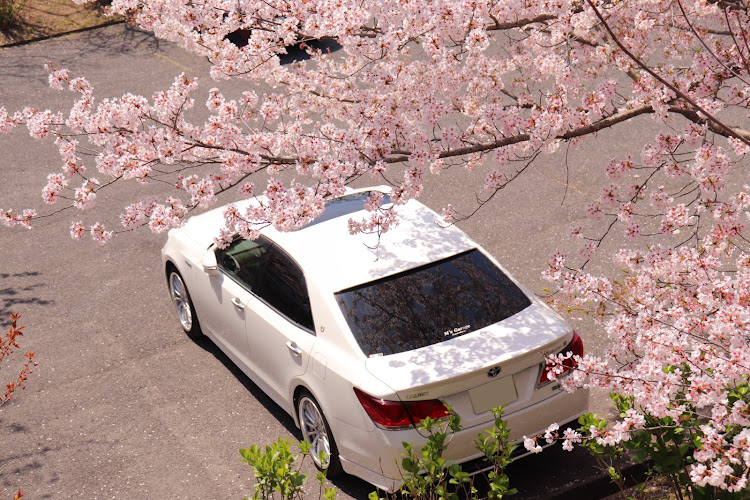 クラウンアスリートの気分転換・ドライブ・岡山・一眼レフ・桜と愛車に関するカスタム事例の投稿画像4枚目