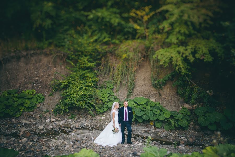 Photographe de mariage Vladimir Popovich (valdemar). Photo du 10 novembre 2014