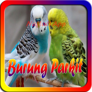 Download Kicauan Burung Parkit NEW For PC Windows and Mac