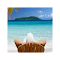 Item logo image for Tropical Getaway...On the Go!