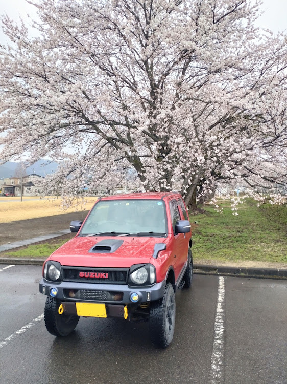 ジムニーの桜とコラボ・オイル漏れ修理に関するカスタム事例の投稿画像1枚目