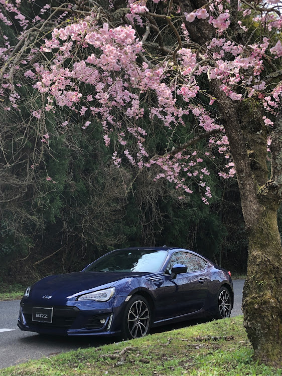 BRZの桜と愛車・ナッツと桜🌸・桜映り込み・力丸ダム・枝垂れ桜並木に関するカスタム事例の投稿画像7枚目
