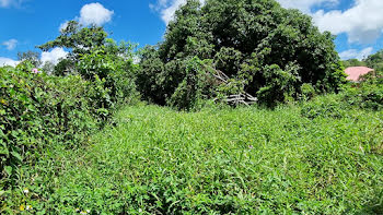 terrain à Morne a l'eau (971)