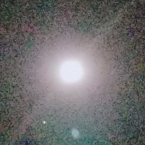 あゆ