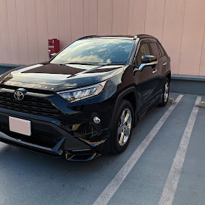 RAV4 MXAA52