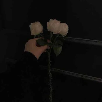 ❥❥❥
