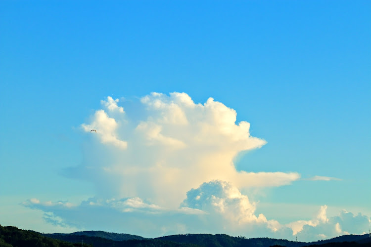セリカのカメ活・夏・入道雲・夕陽・青空に関するカスタム事例の投稿画像9枚目