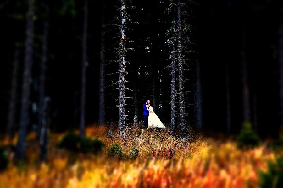 Fotógrafo de casamento Ciprian Grigorescu (cipriangrigores). Foto de 30 de novembro 2018