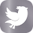 Txiicha Lite for Twitter logo