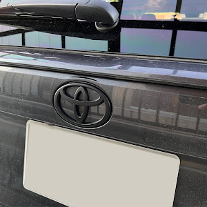 RAV4 MXAA54