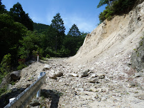 林道は荒れ放題