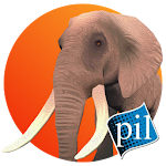 PI VR Animals Apk