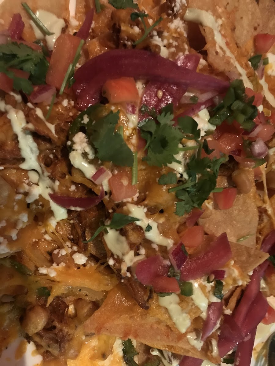 Pork nachos - the chips were so good!