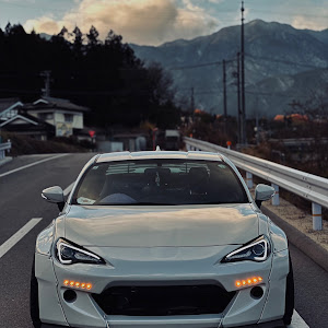 86 ZN6