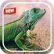 Lizard Photo Frame Download on Windows