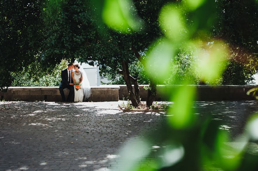 Photographe de mariage Dima Karpenko (dimakarpenko). Photo du 28 décembre 2015