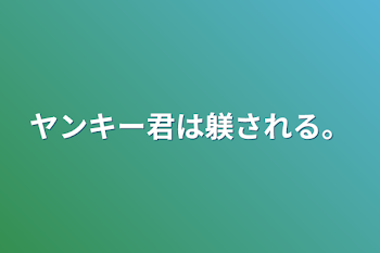 ヤンキー君は躾される。