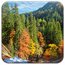 Autumn Forest Chrome extension download