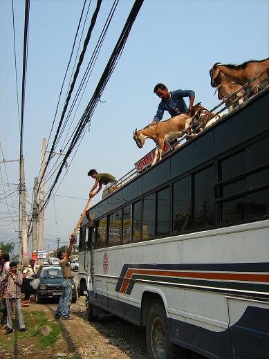 []