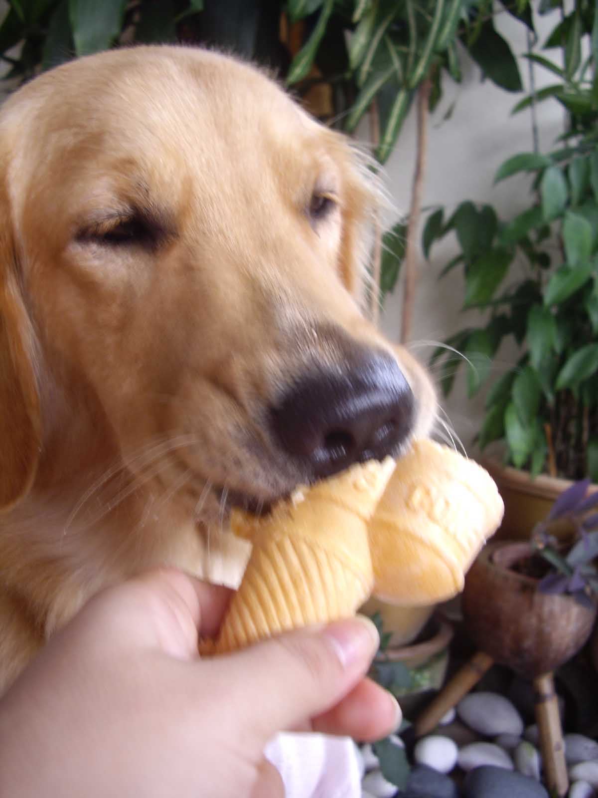 []