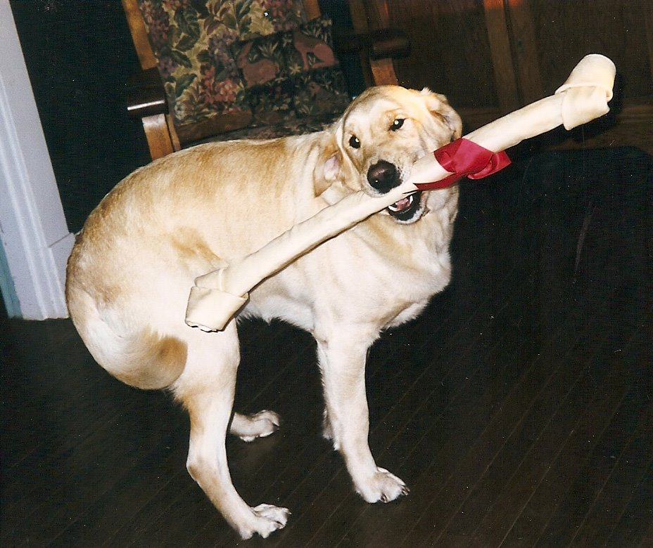 []