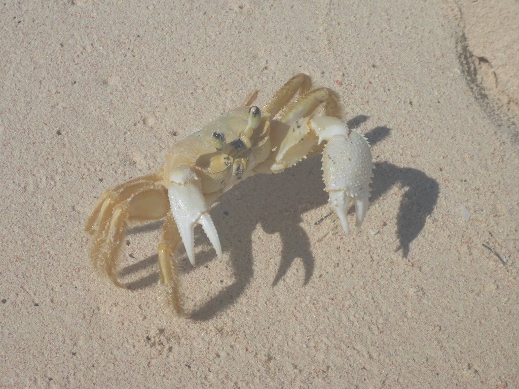 []