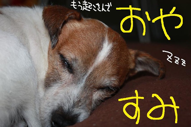 []