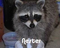 []