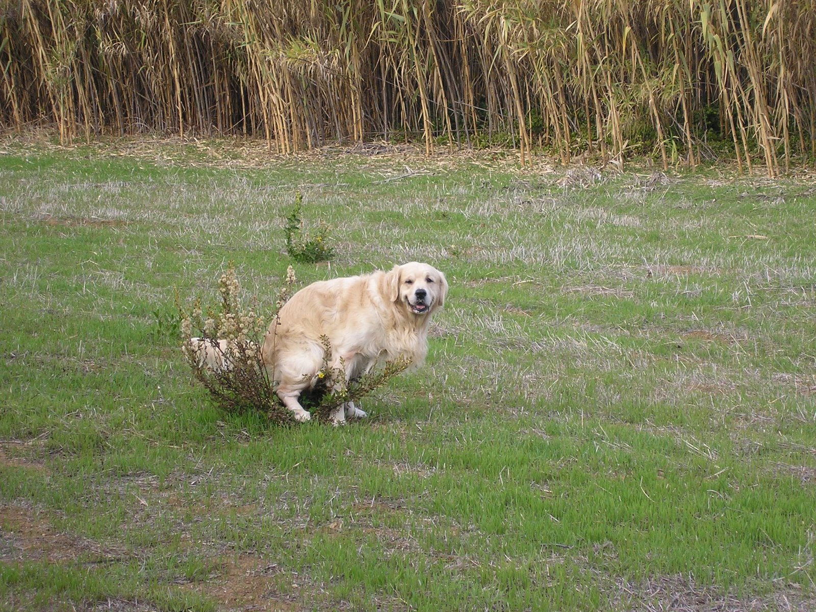 []