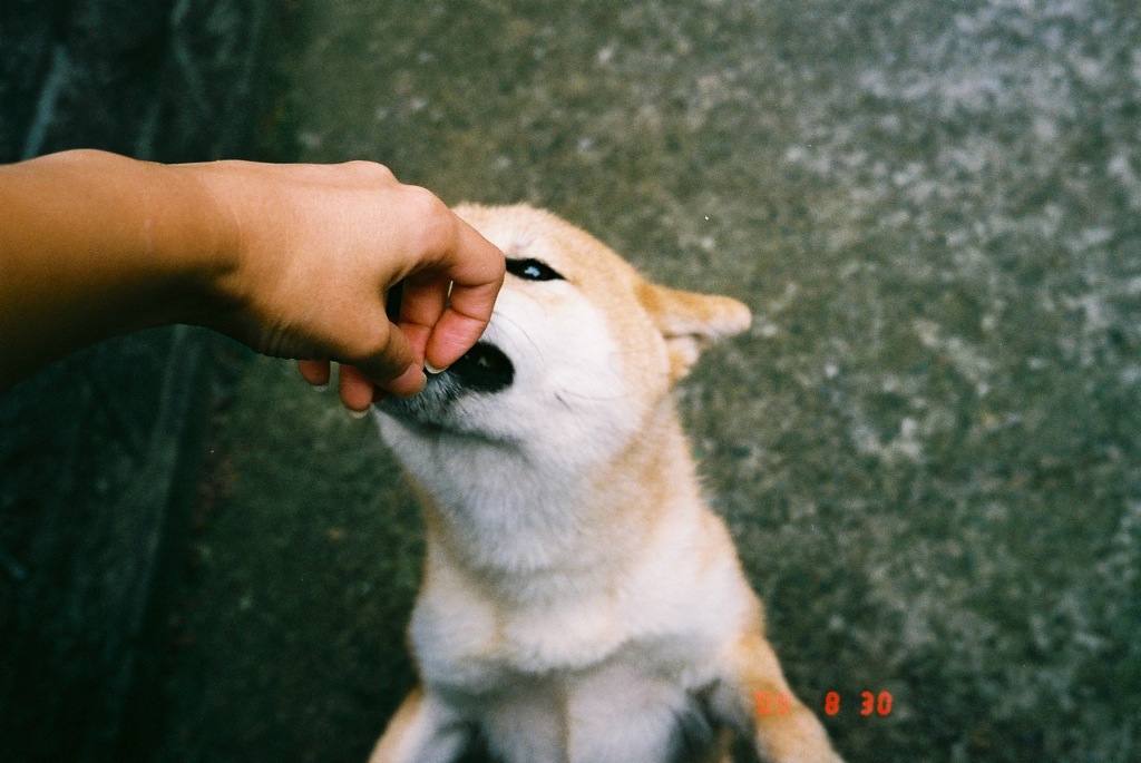 []