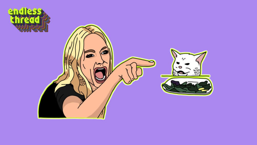 Memes Part 4 Woman Yelling At A Cat Endless Thread