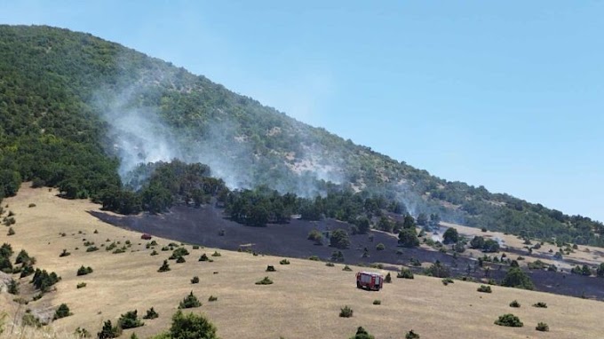 Υψηλό πρόστιμο και ποινή φυλάκισης 10 μηνών με αναστολή στον 75χρονο για την φωτιά στο Δρέπανο