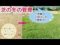 [コンプリート！] 芝生 冬 119536