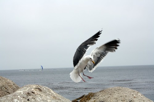 Untitled by Pictures Speak!